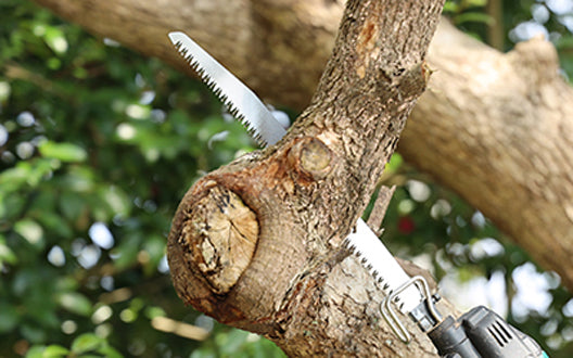 Zetsaw Pruning Reciprocating Saber Saw Blade